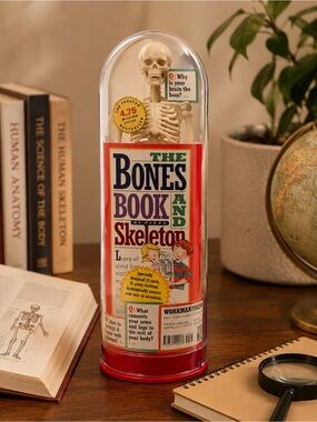 The Bones Book & Skeleton – New / Never Used (Workman Publishing)